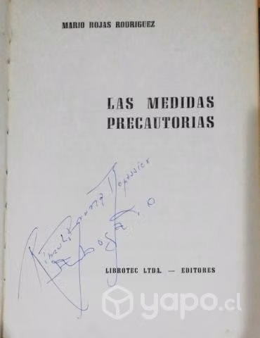 Las Medidas Precautorias