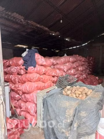 Papas nuevas por sacos