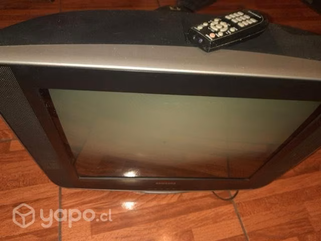 Tv plana 21