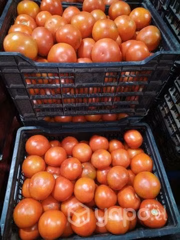 Palta-tomates