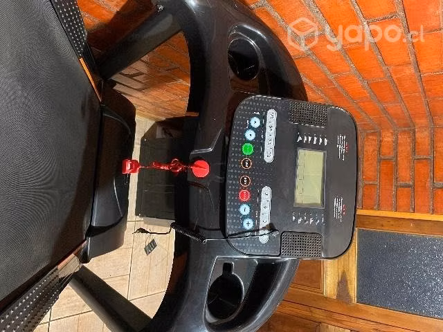 Trotadora profesional