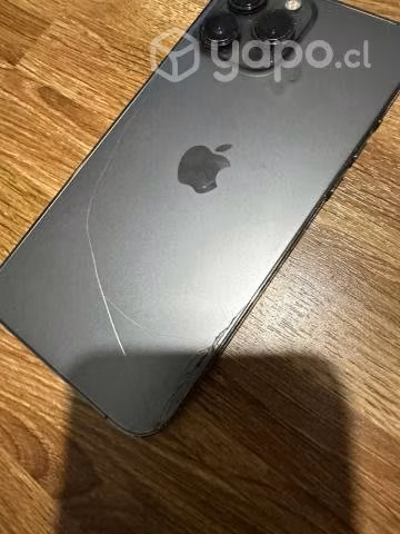 iPhone 13 Pro Max - Color Grafito