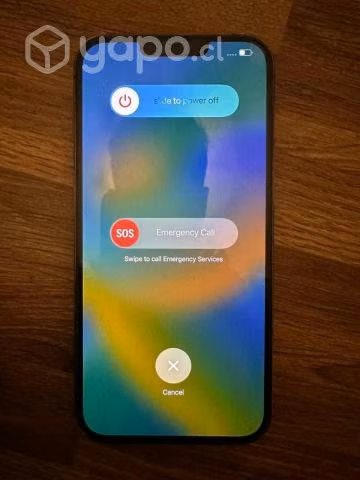 iPhone 13 Pro Max - Color Grafito