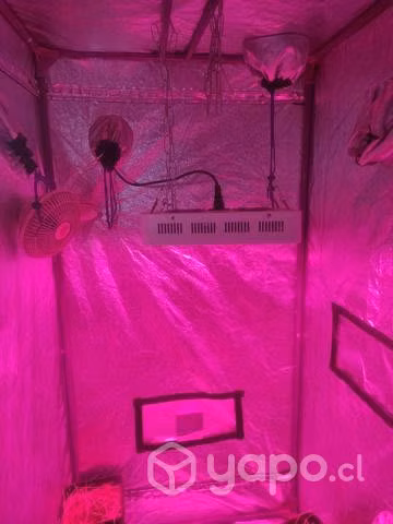 Indoor LED 80x80