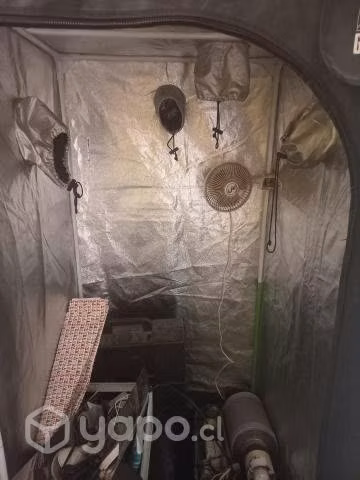 Indoor marca Gorila listo para usarse