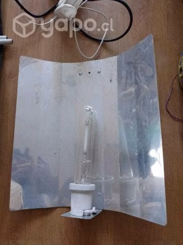 Carpa Piranha + extras