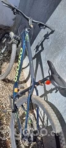 Bicicleta oxford