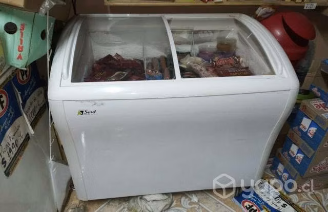 Congeladora 350lts