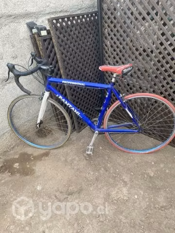 Bicicleta Pistera Pantani