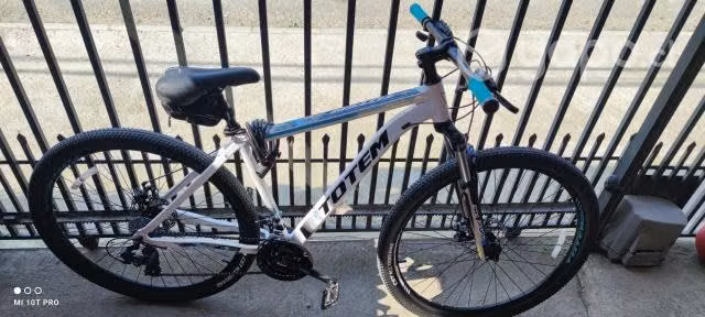 Bicicleta TOTEM