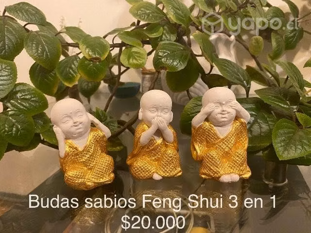 Feng Shui decora tu hogar con la mejor energía