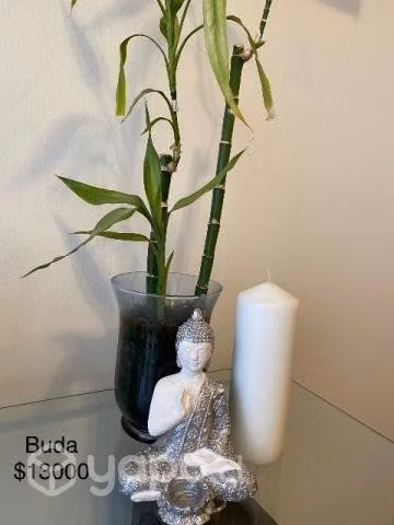 Feng Shui decora tu hogar con la mejor energía