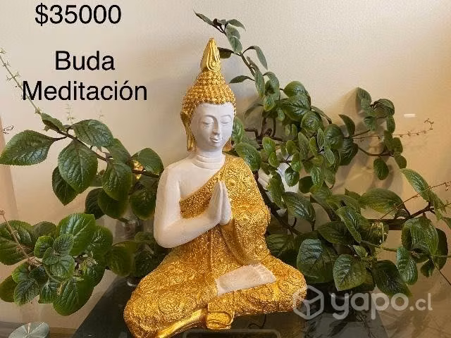 Feng Shui decora tu hogar con la mejor energía