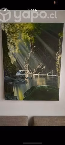 Cuadros al oleo paisajes. Artista venezolano