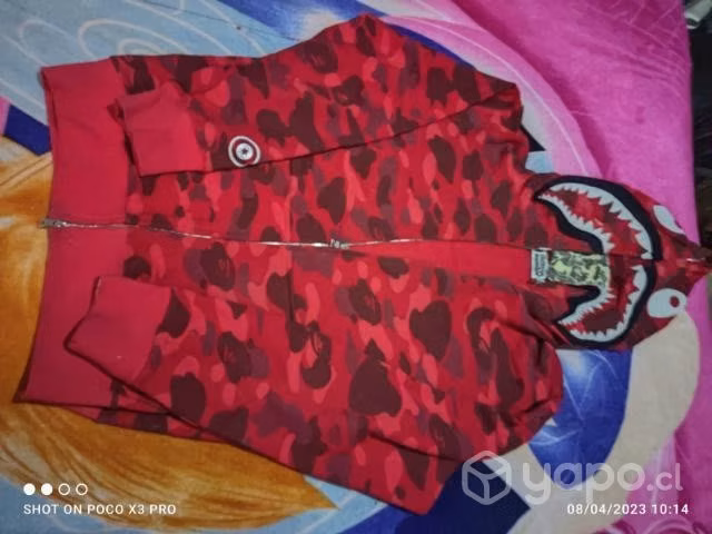 Bape shark
