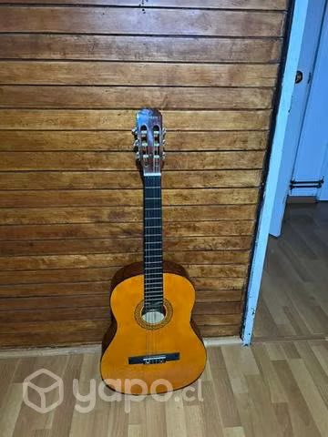 Guitarra con Funda