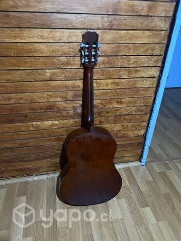 Guitarra con Funda