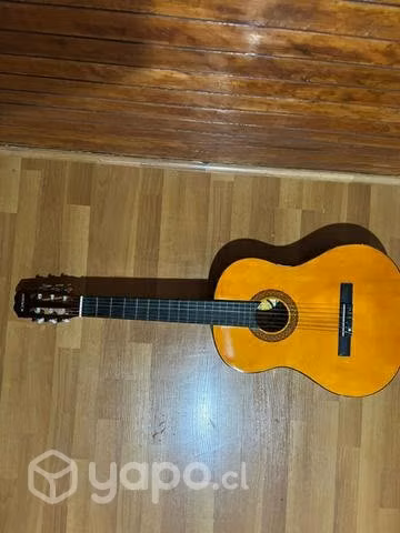 Guitarra con Funda