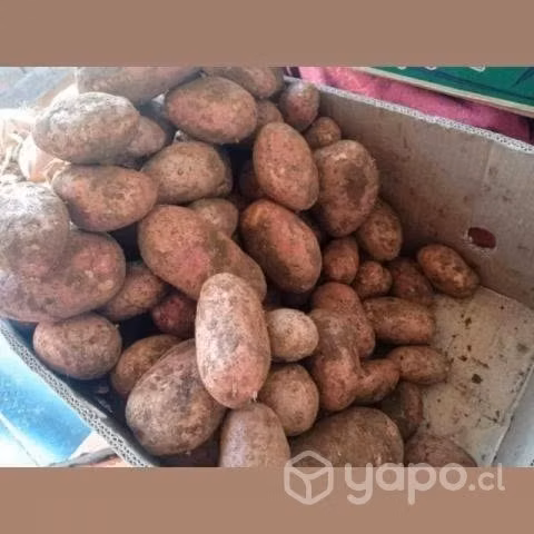 Sacos de papas