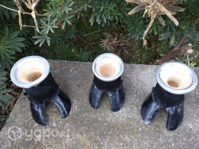Mate pata
