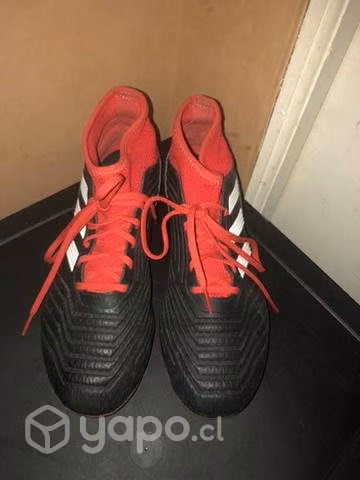 Chuteadores predator adidas