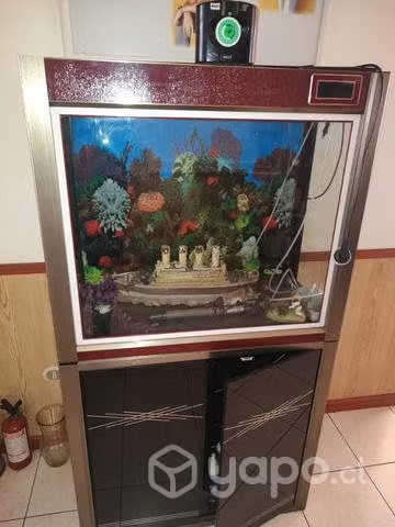 Acuario con mueble - Imagen 2