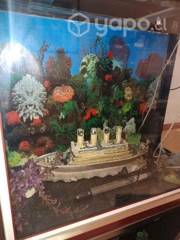Acuario con mueble - Imagen 3