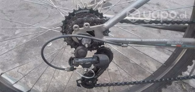 bicicleta