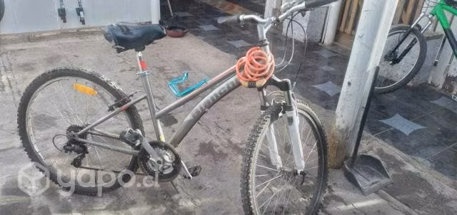 bicicleta