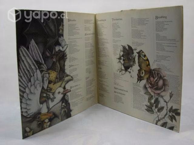 Vinilo Kate Bush Never For Ever 1980 Ed. Alemania