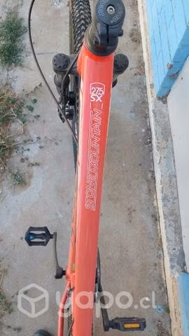 Bicicleta