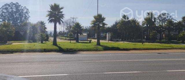 Parcela algarrobo - Imagen 2