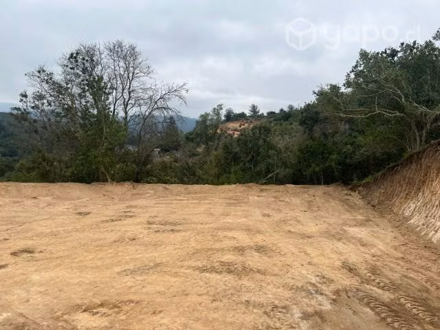 Parcela de 5000 mts Sector de Pitama Casablanca