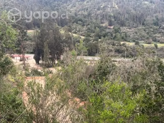 Parcela de 5000 mts Sector de Pitama Casablanca - Imagen 4