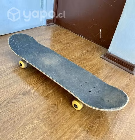 Skate Santa Cruz