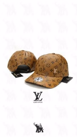 Hermoso gorro LV (85)