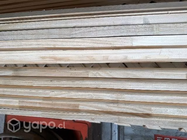 Guarda polvo 3 13x65x3