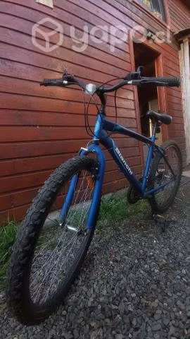 Bicicleta Bianchi