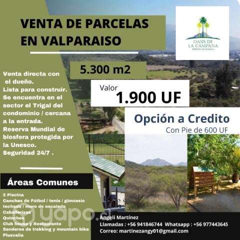 Parcela en Valparaiso / Directo con Dueño - Imagen 8