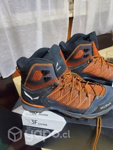 Zapato
