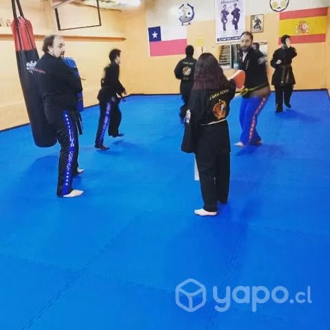 Escuela de artes marciales
