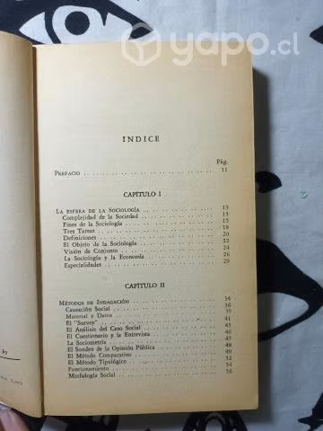 Sociología: La ciencia de la sociedad
