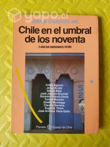Chile en el umbral de los noventa