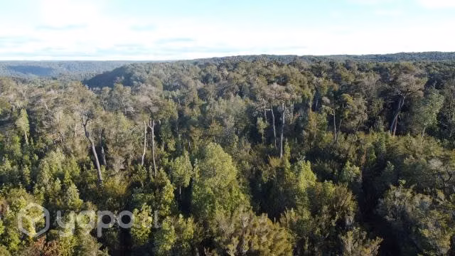 Terreno de 5000 m2 en Quellón