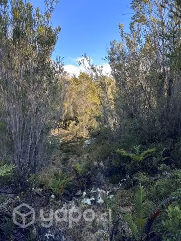 Terreno de 5000 m2 en Quellón