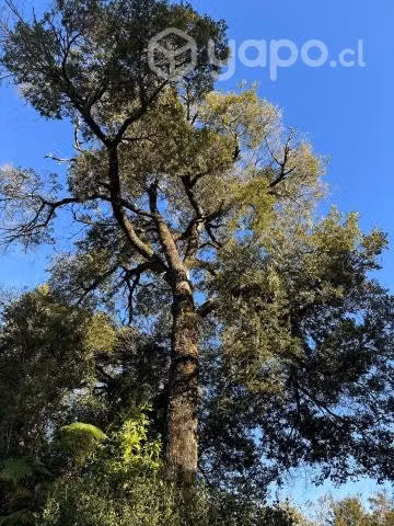 Terreno de 5000 m2 en Quellón