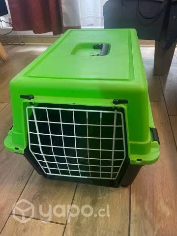 Canil para perros raza pequeña