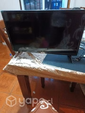 televisor 24"