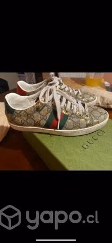 Zapatillas Gucci originales
