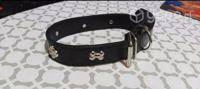 Collar de perro - Imagen 2
